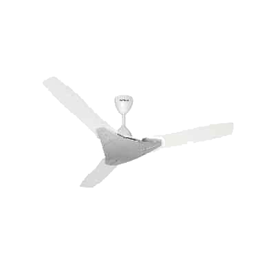 Havells Troika 1200 Mm 3 Blade White Ceiling Fan